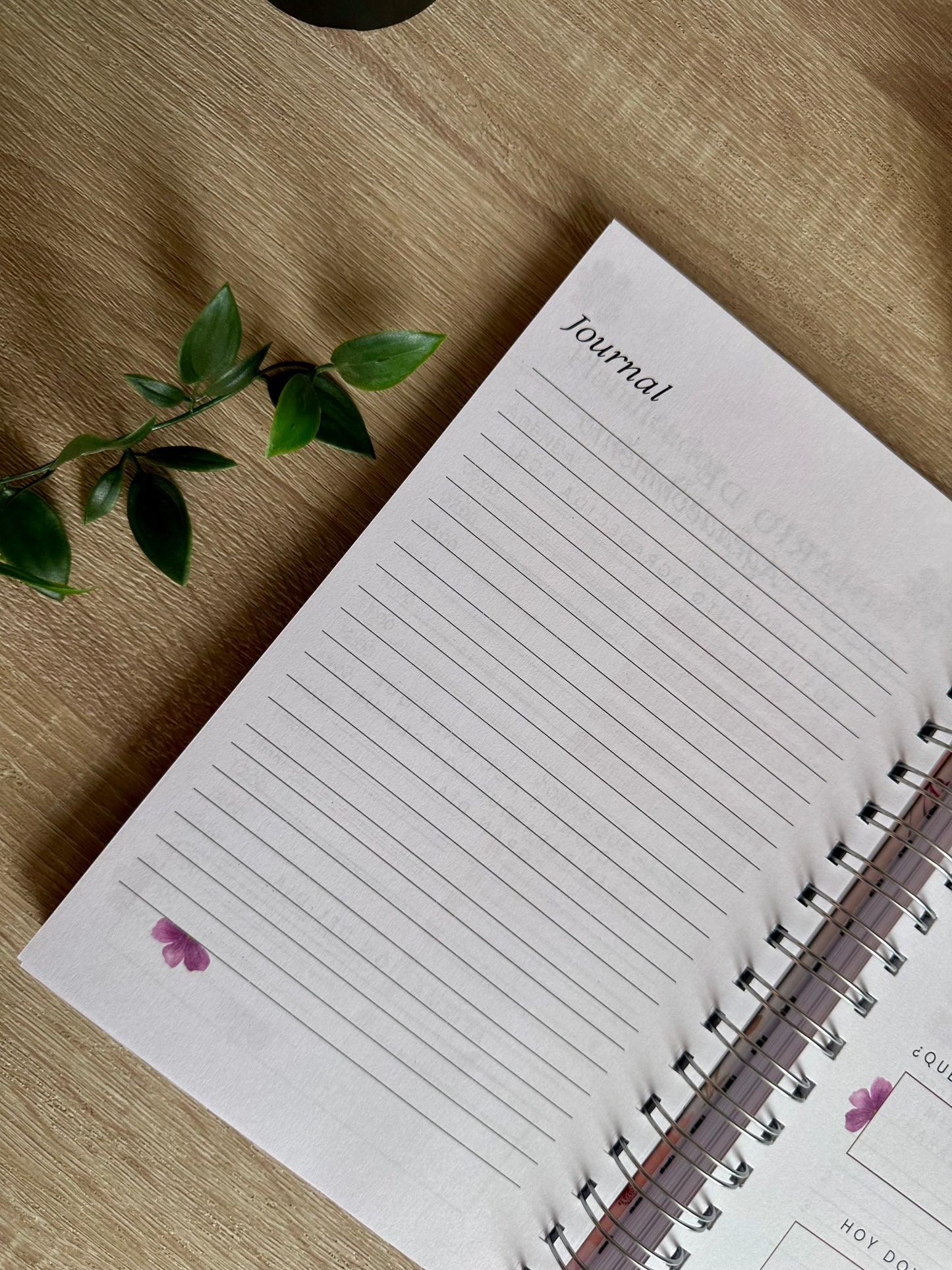 Agenda Mi Futura Yo 2026 | ¿Quieres organizar tu vida y alcanzar tus metas?
